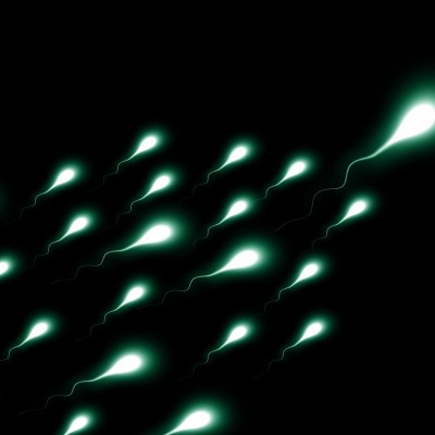 Acupuncture for Improving Sperm Quality